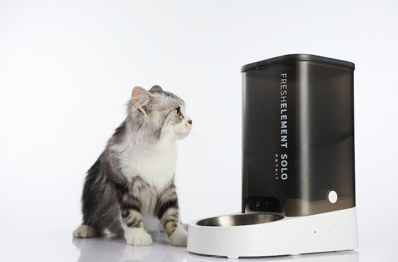 用AI把宠物主变成每月付费会员跨境电商学什么-宠物电商